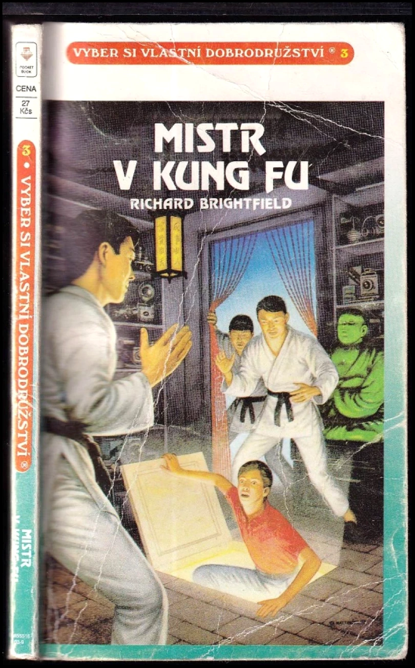 Mistr v kung fu (Rick Brightfield, 1992)