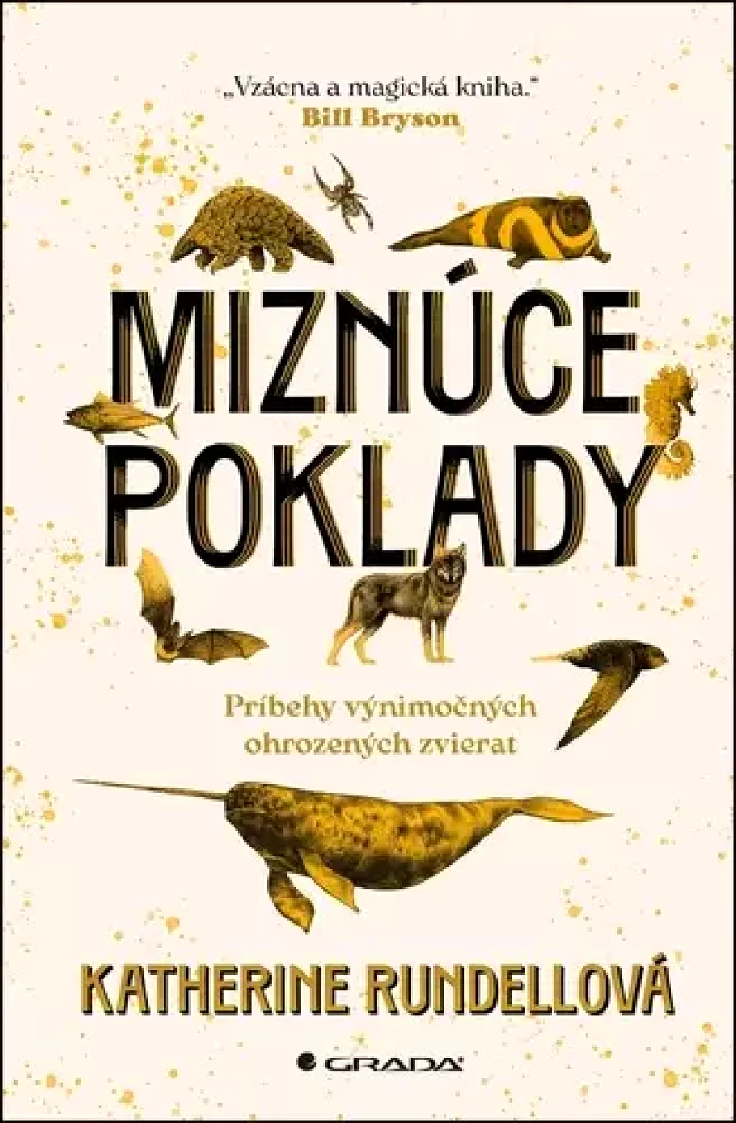 Levně Miznúce poklady (Katherine Rundell, 2025)