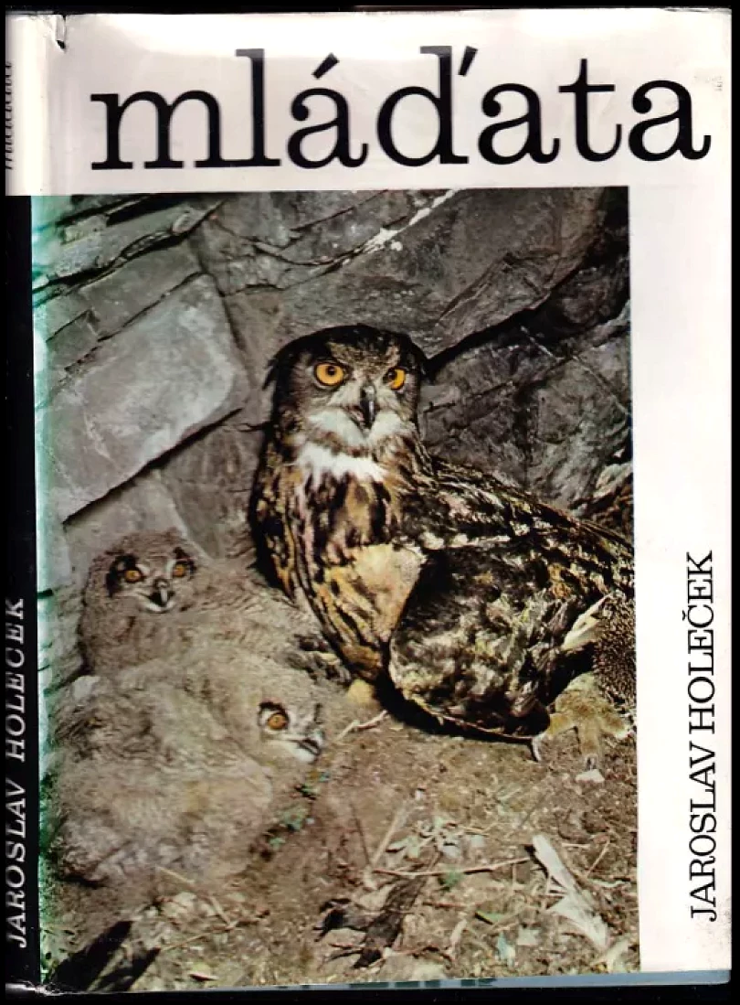 Levně Mláďata (Jaroslav Holeček, 1970)