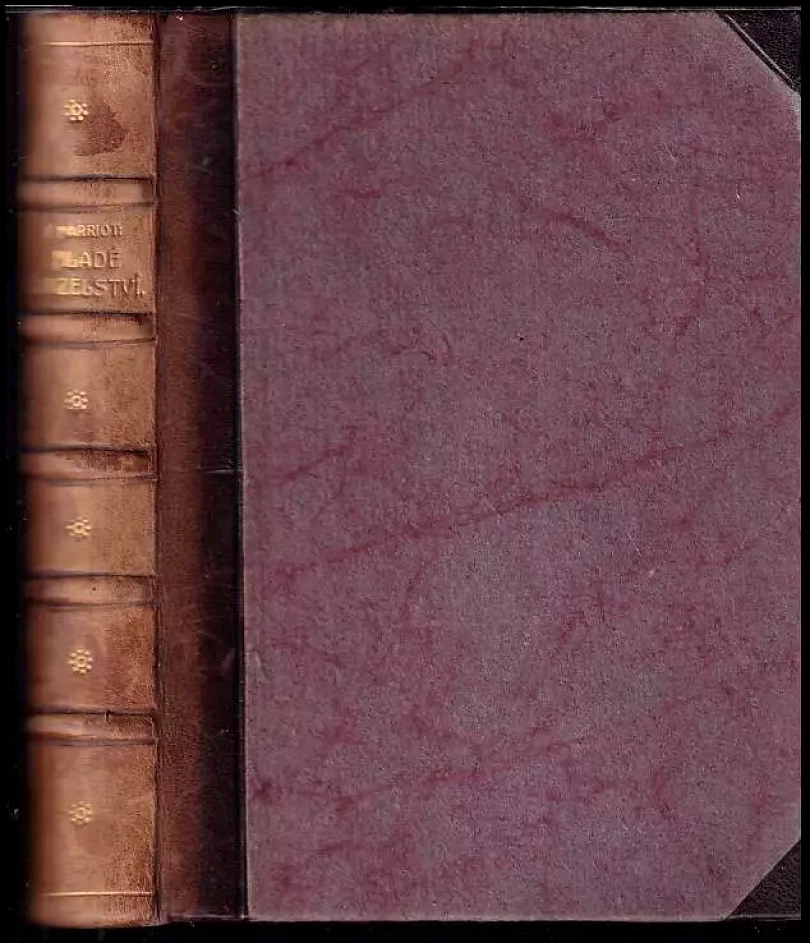 Levně Mladé manželství (Emil Marriot, 1915)