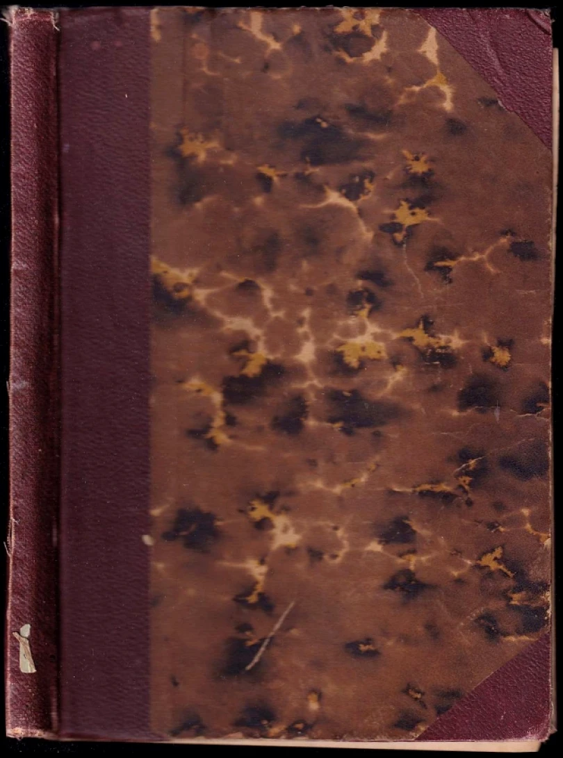 Levně Mladý rek burský (Václav Beneš Šumavský, 1900)