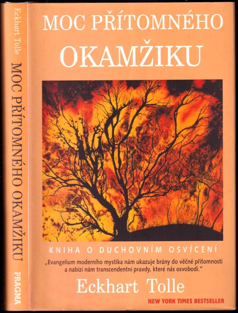 Levně Moc přítomného okamžiku (Eckhart Tolle, 1999)