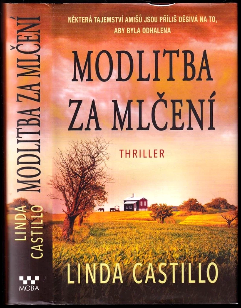Levně Modlitba za mlčení (Linda Castillo, 2015)