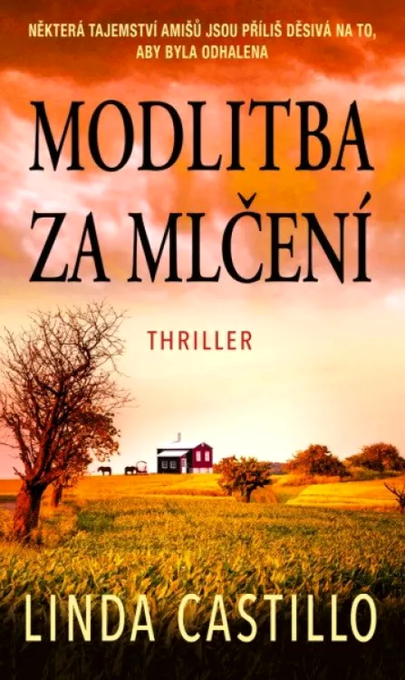 Levně Modlitba za mlčení (Linda Castillo, 2024)
