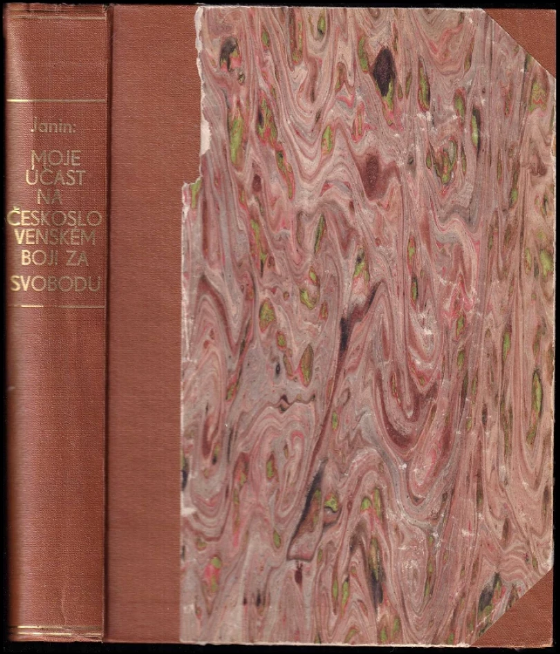 Moje účast na československém boji za svobodu (Maurice Janin, 1926)