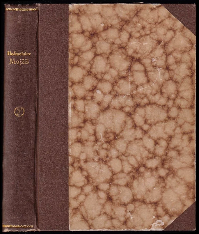 Mojžíš (Rudolf Richard Hofmeister, 1929)