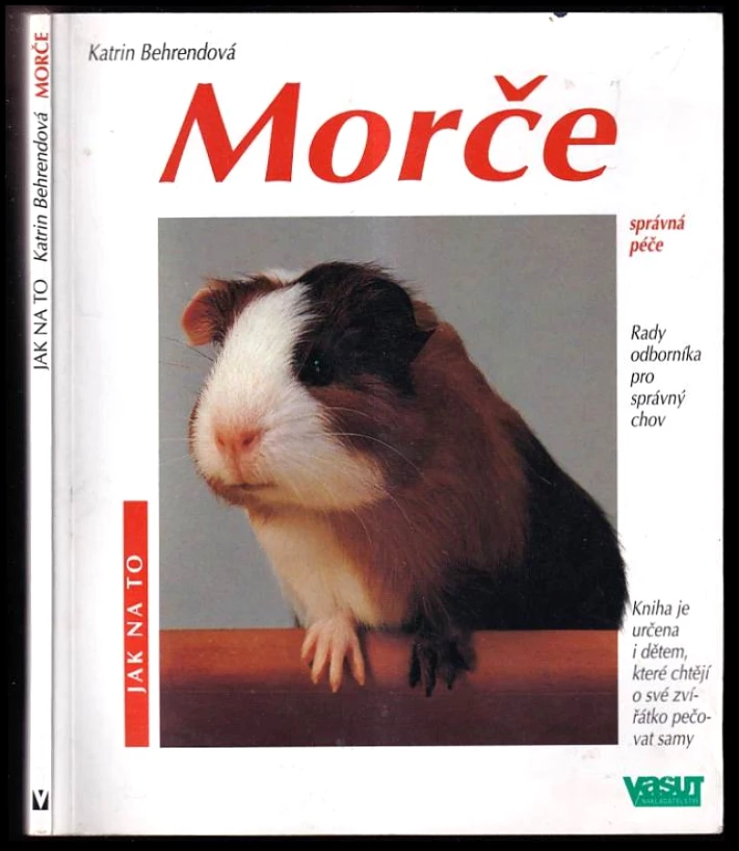 Morče (Katrin Behrend, 2001)