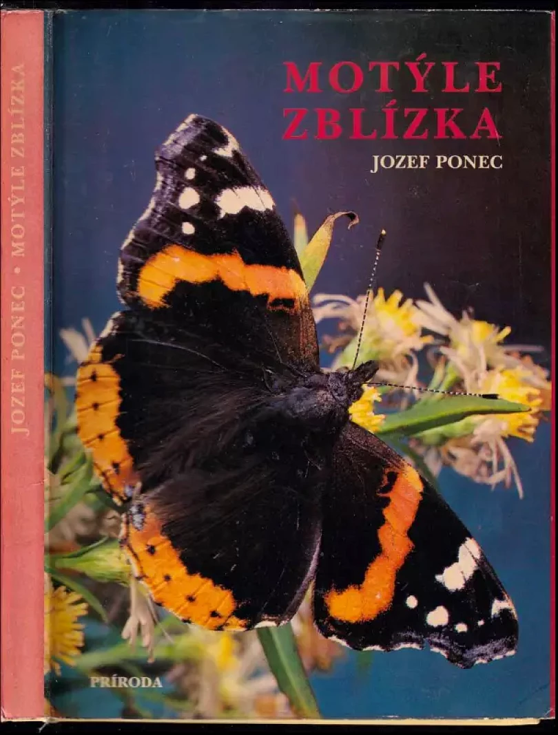 Levně Motýle zblízka (Jozef Ponec, 1979)