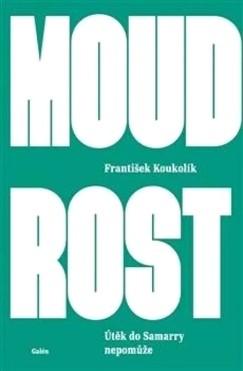 Levně Moudrost (Frantisek Koukolík, 2023)