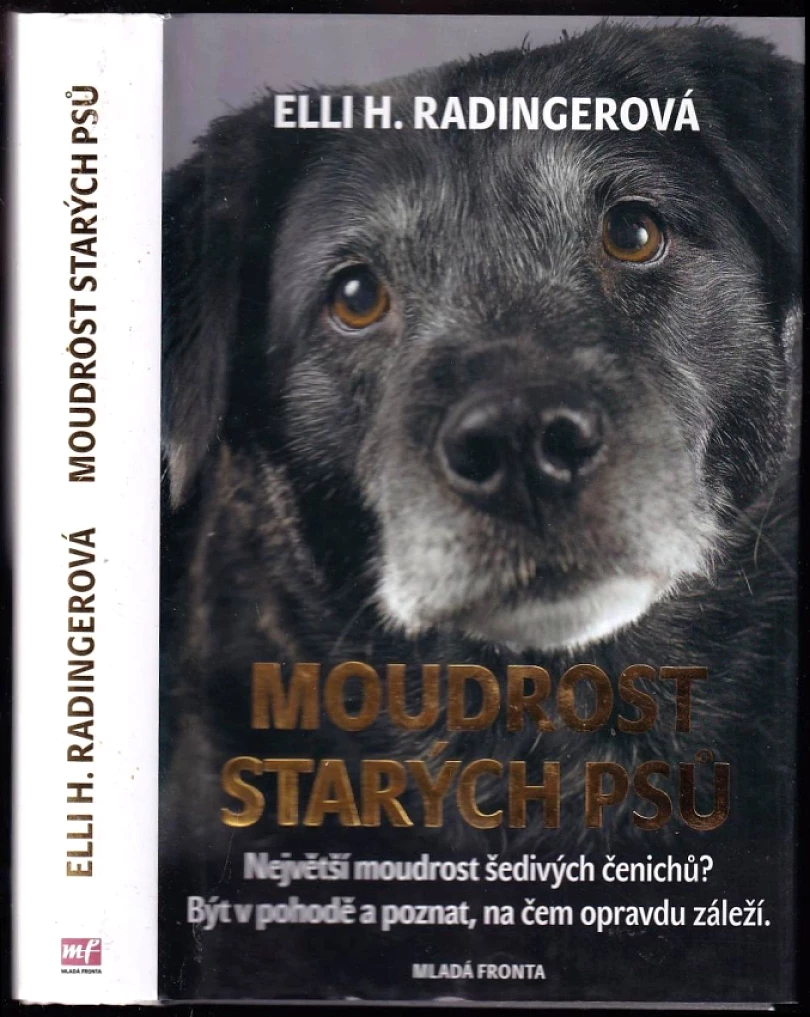 Levně Moudrost starých psů (Elli H Radinger, 2018)