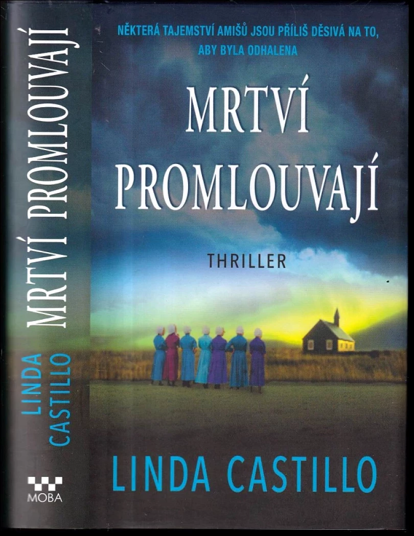 Levně Mrtví promlouvají (Linda Castillo, 2018)