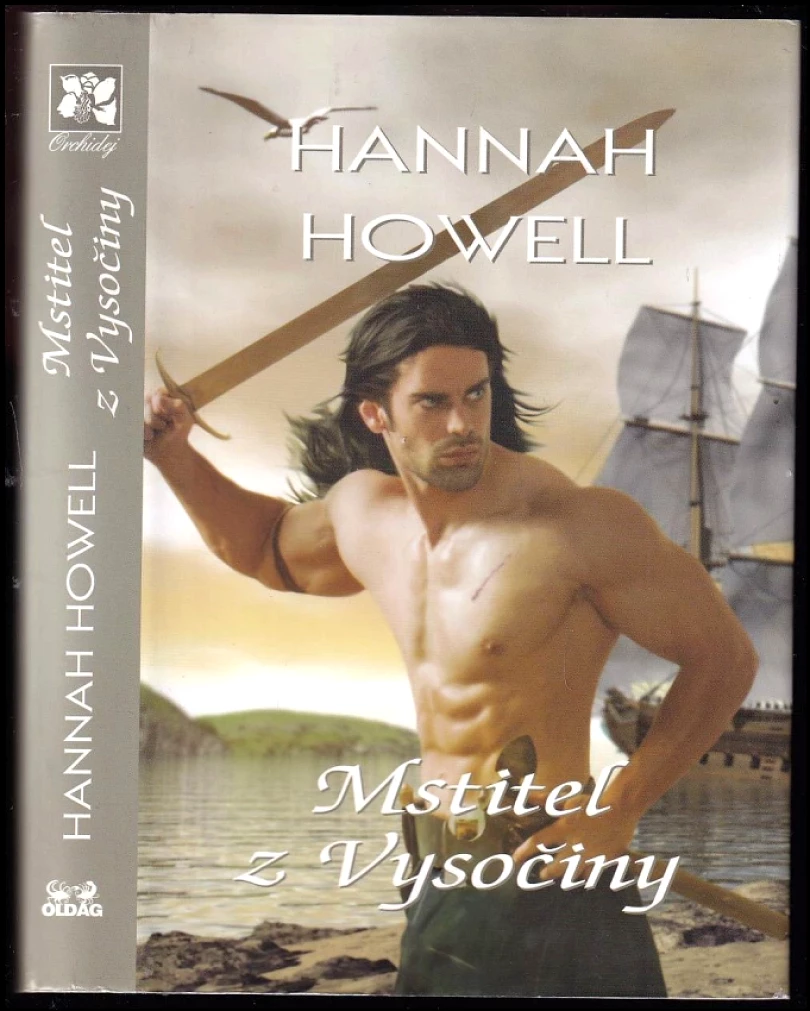 Levně Mstitel z Vysočiny (Hannah Howell, 2015)