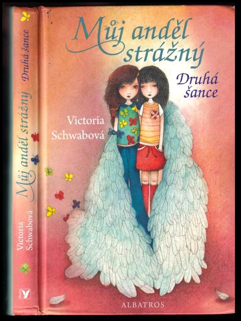 Můj anděl strážný (Victoria Schwab, 2016)