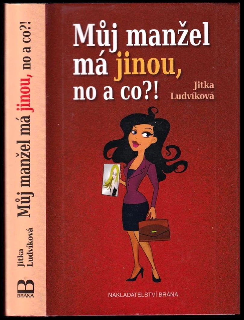 Levně Můj manžel má jinou, no a co?! (Jitka Ludvíková, 2015)