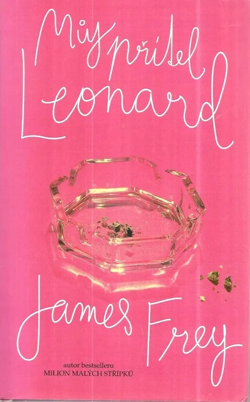 Levně Můj přítel Leonard (James Frey, 2009)