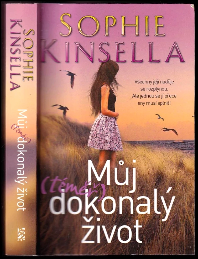 Levně Můj (téměř) dokonalý život (Sophie Kinsella, 2019)
