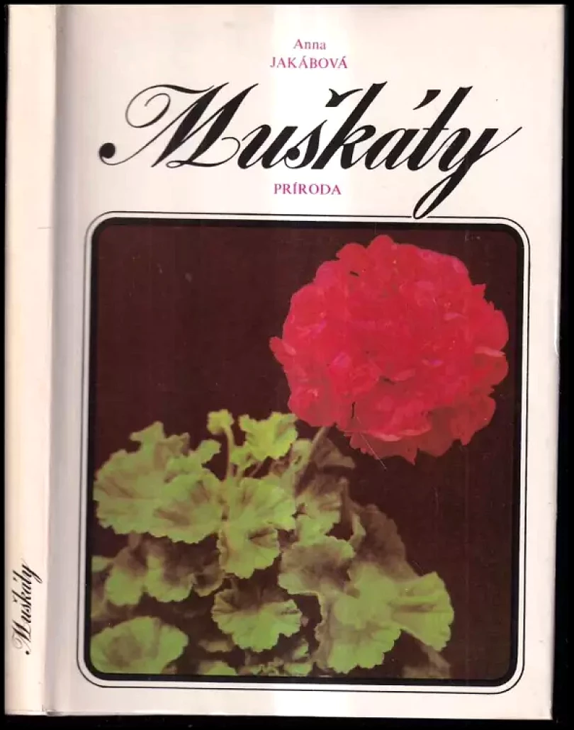 Muškáty (Anna Jakábová, 1983)