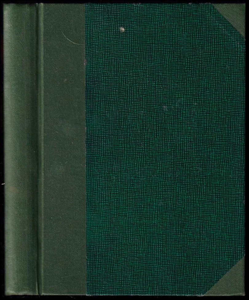 Levně Muž bez minulosti (Maurice Leblanc, 1931)