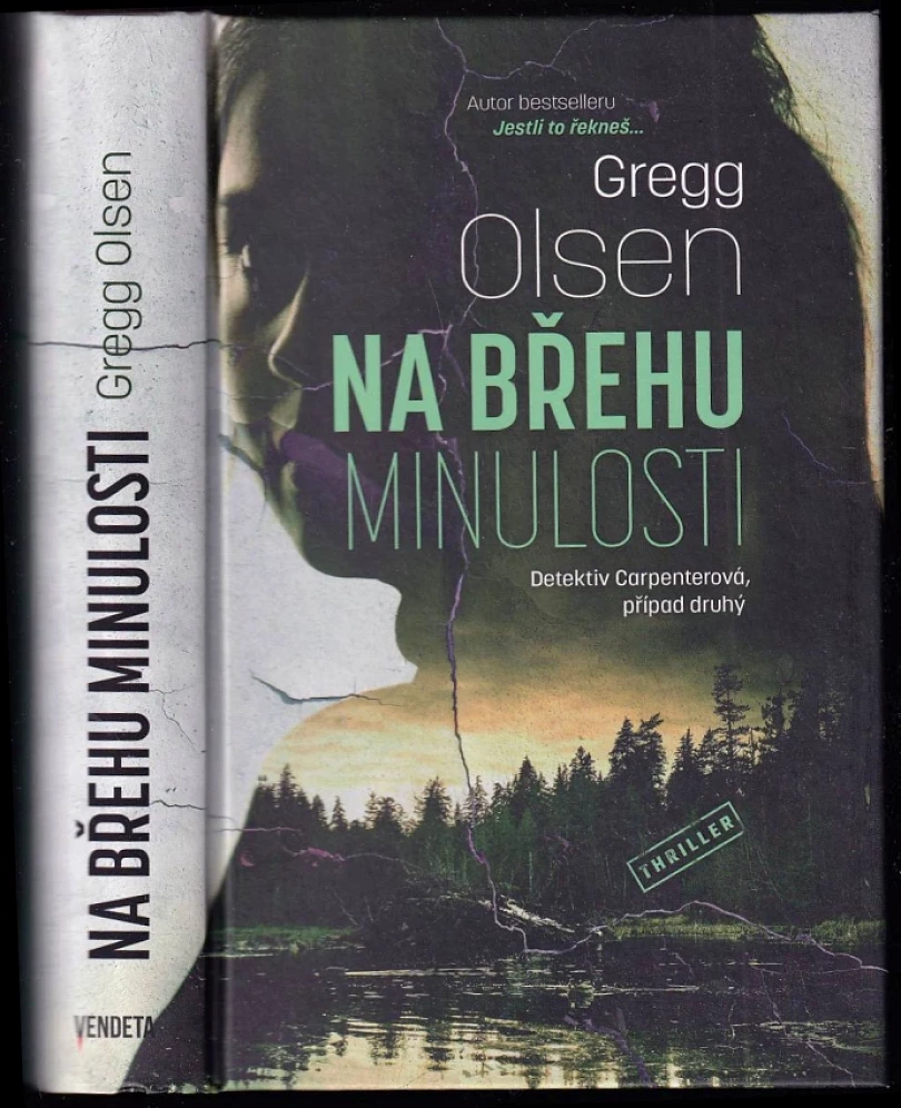 Na břehu minulosti (Gregg Olsen, 2024)