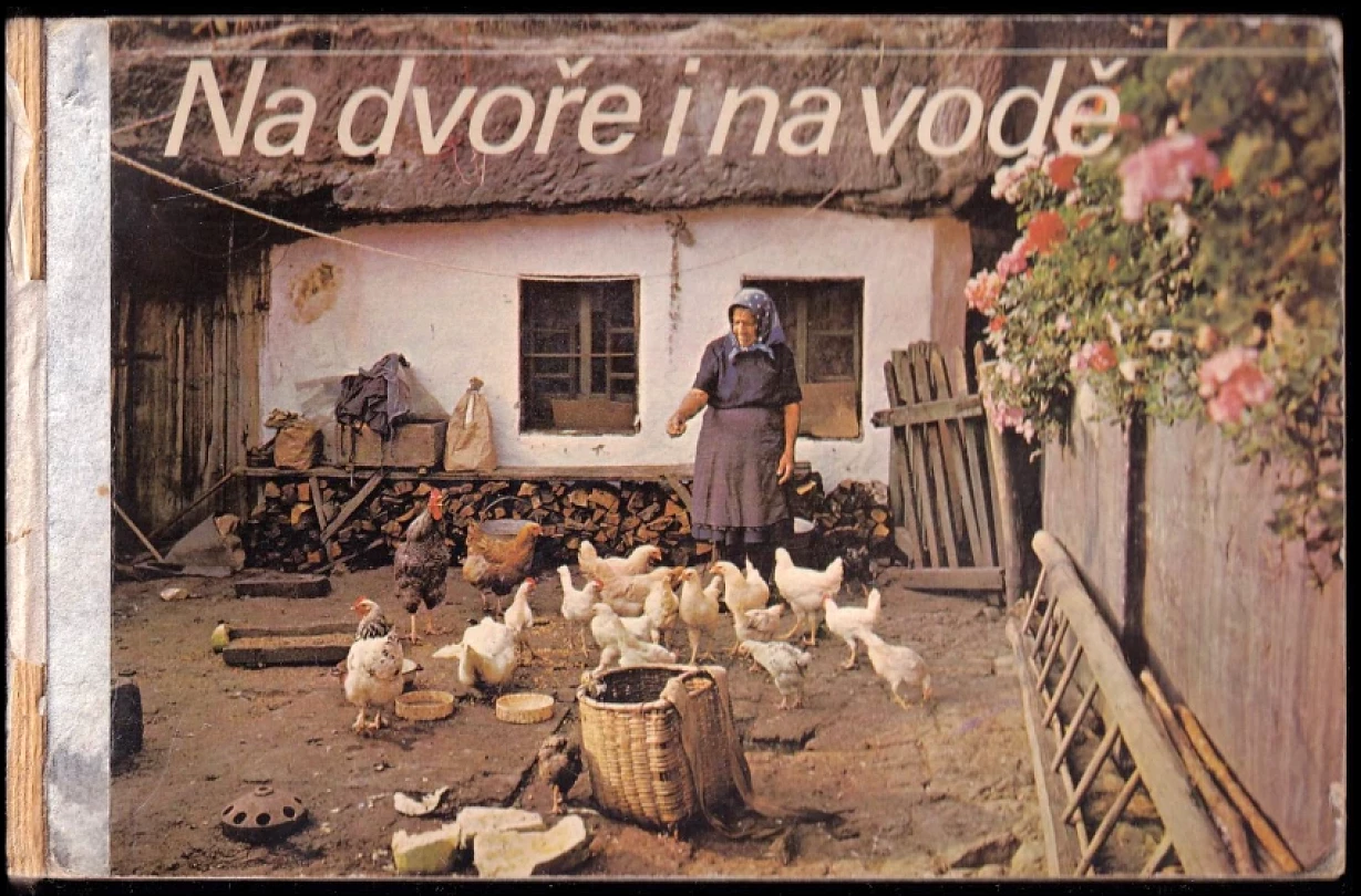Na dvoře i na vodě (Július Kontár, 1985)