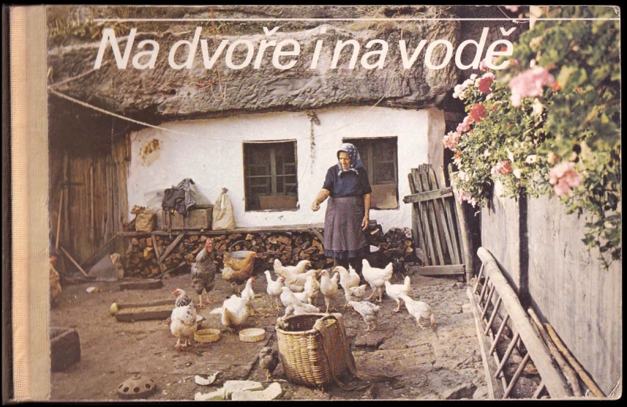 Na dvoře i na vodě (Július Kontár, 1989)