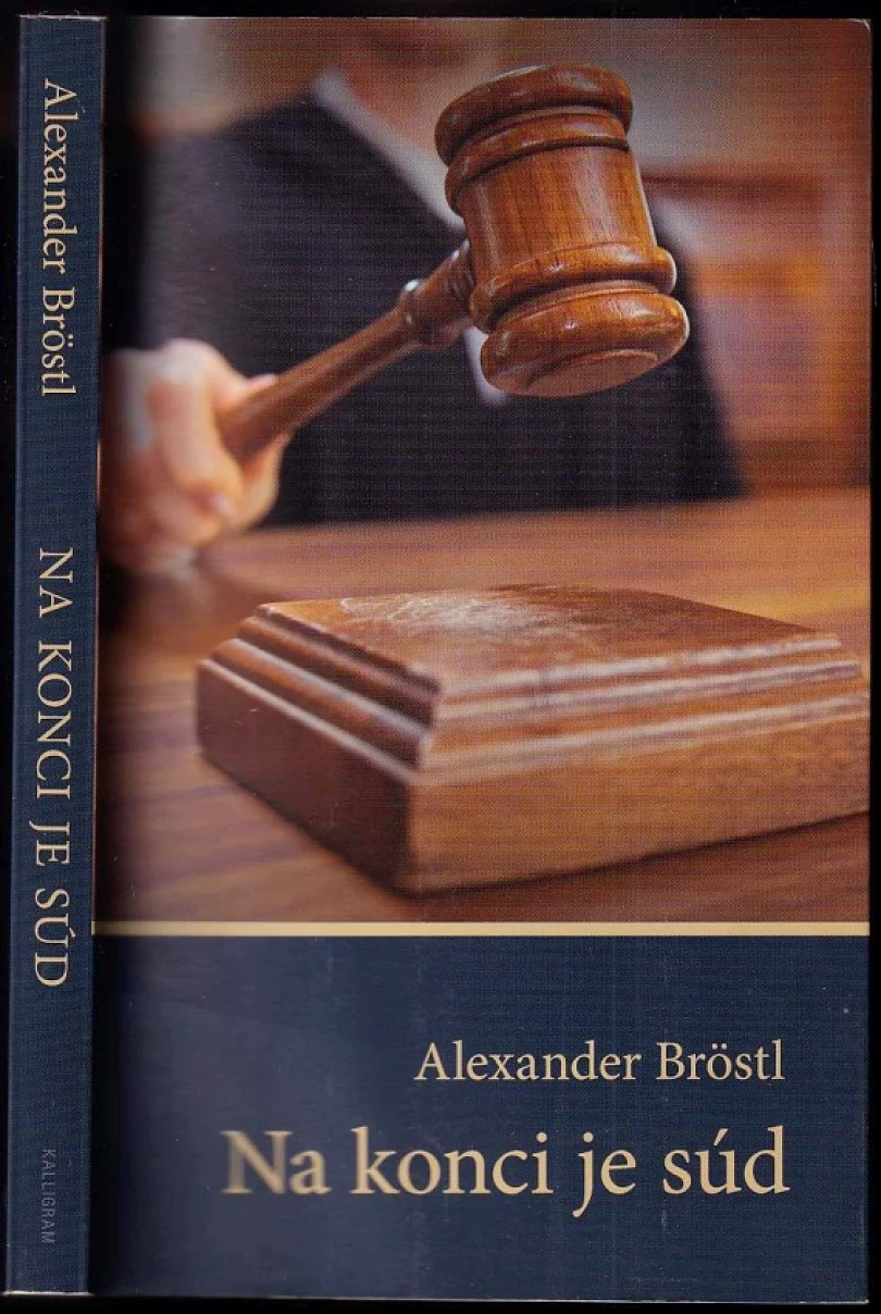 Levně Na konci je súd (Alexander Bröstl, 2015)
