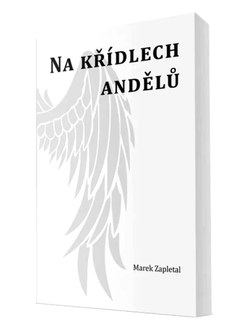 Na křídlech andělů (Marek Zapletal, 2020)