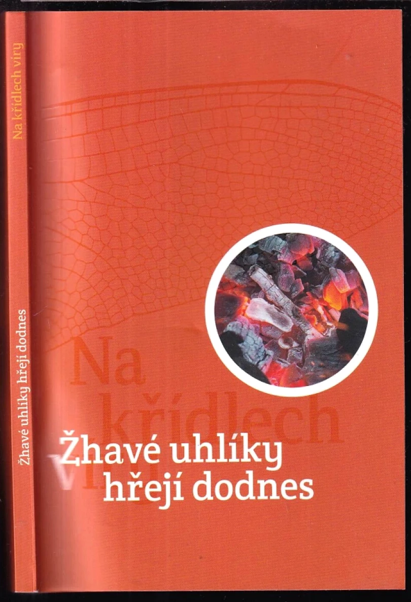 Na křídlech víry (Bohumila Fürstová, 2016)