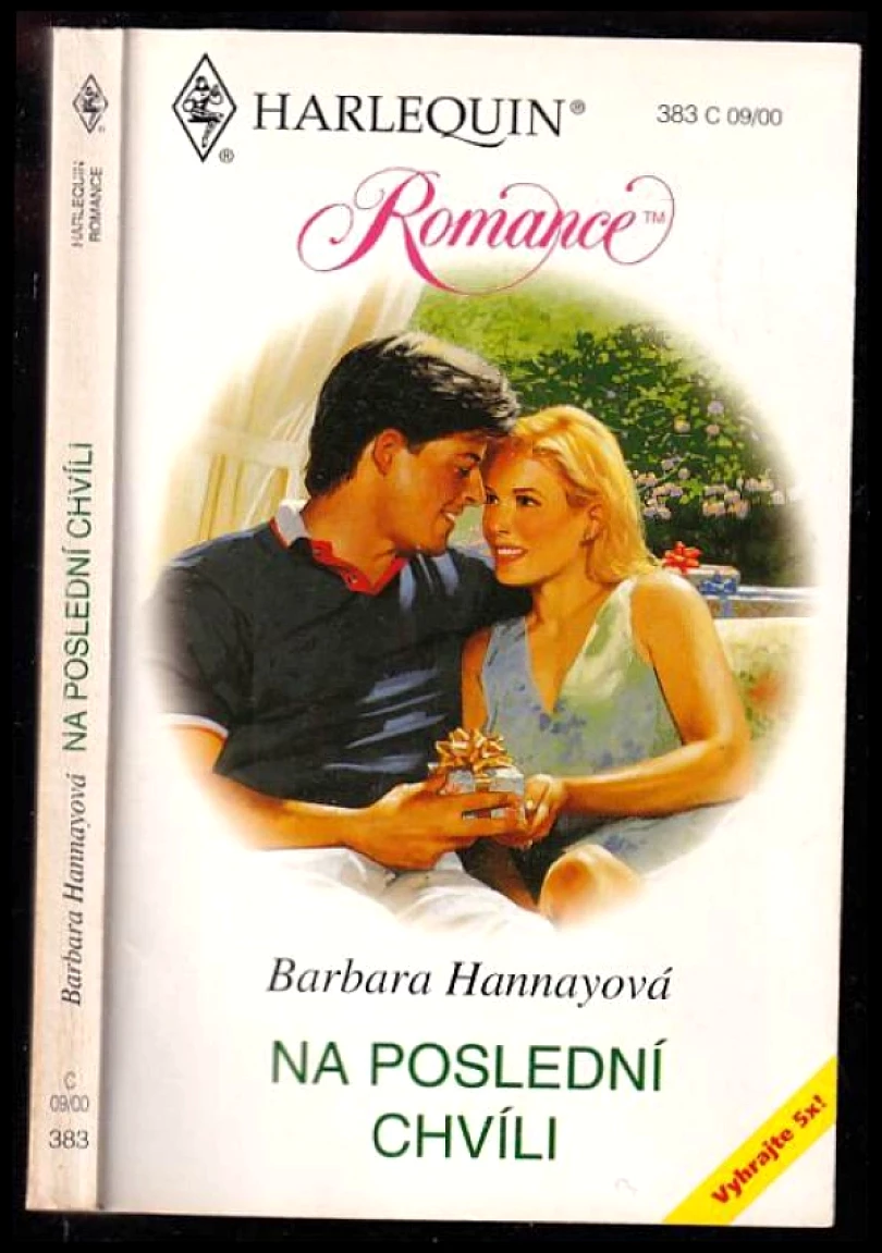 Levně Na poslední chvíli (Barbara Hannay, 2000)