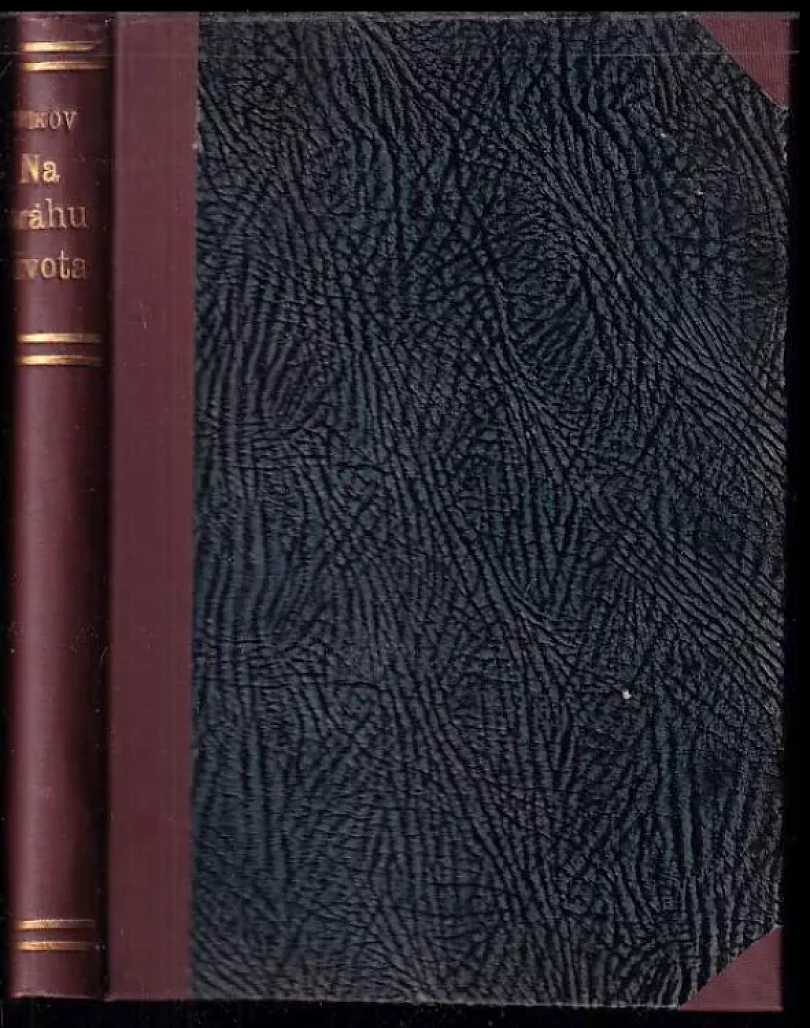 Na prahu života a jiné novelly (Jevgenij Nikolajevič Čirikov, 1920)