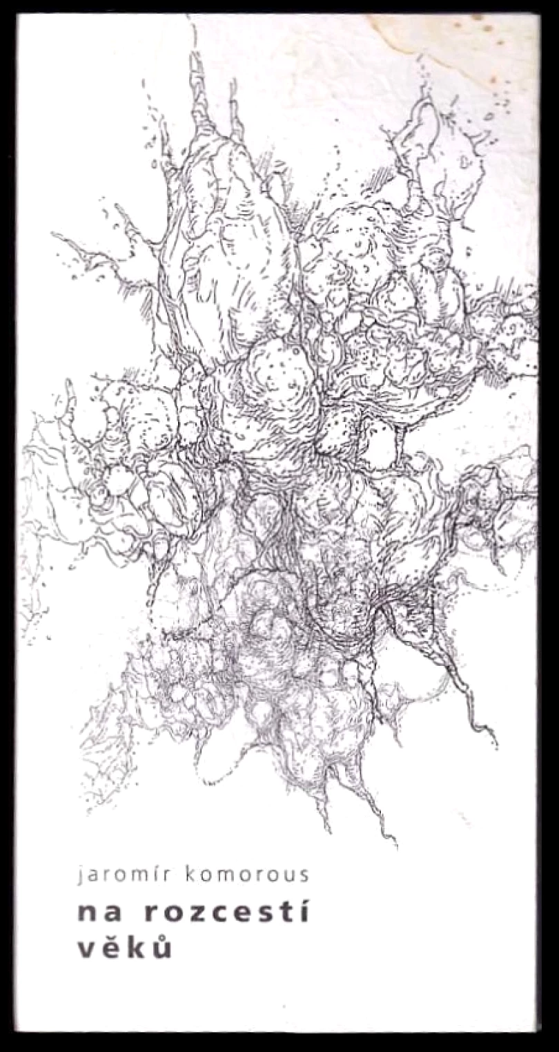 Levně Na rozcestí věků PODPIS- Jaromír Komorous (Jaromír Komorous, 2010)