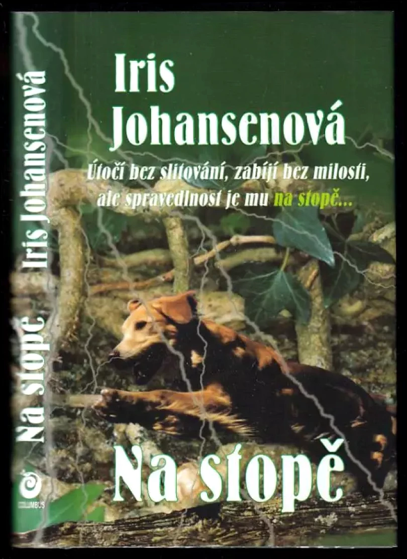 Levně Na stopě (Iris Johansen, 2001)