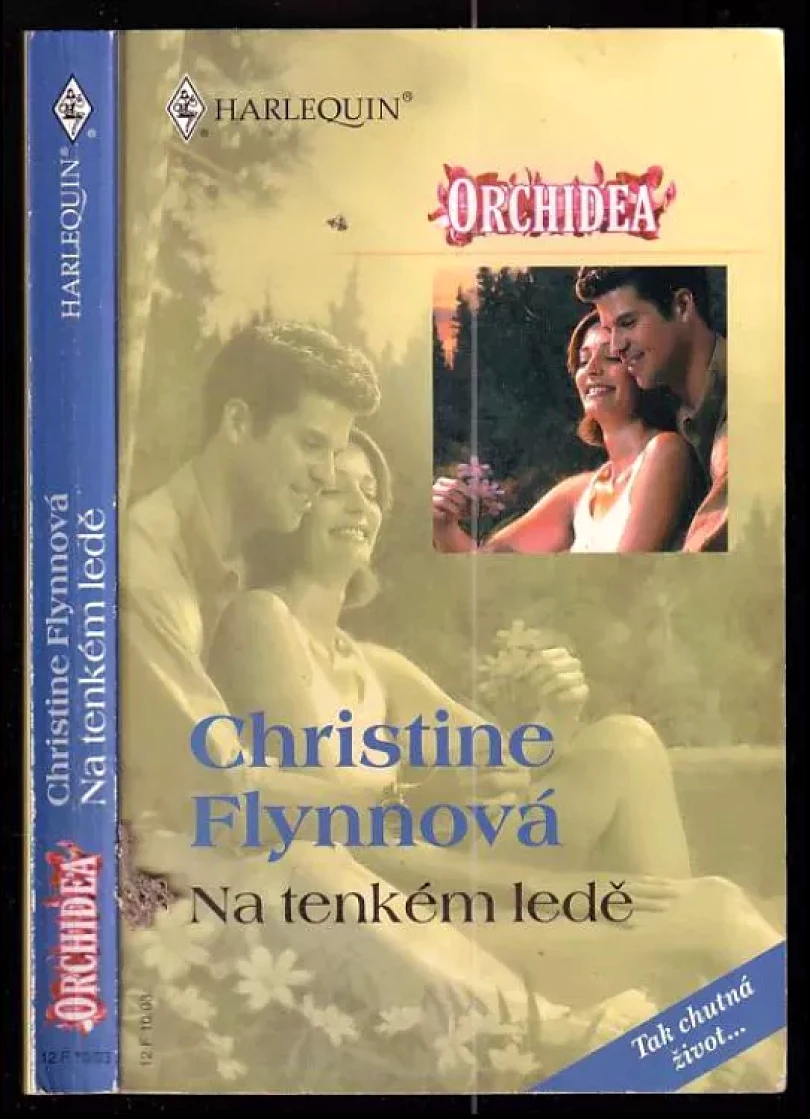 Levně Na tenkém ledě (Christine Flynn, 2003)