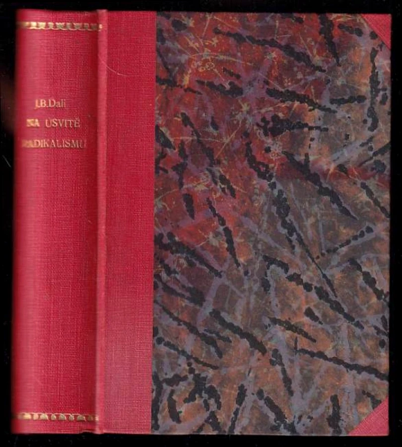 Levně Na úsvitě radikalismu (J. Bowles Daly, 1910)
