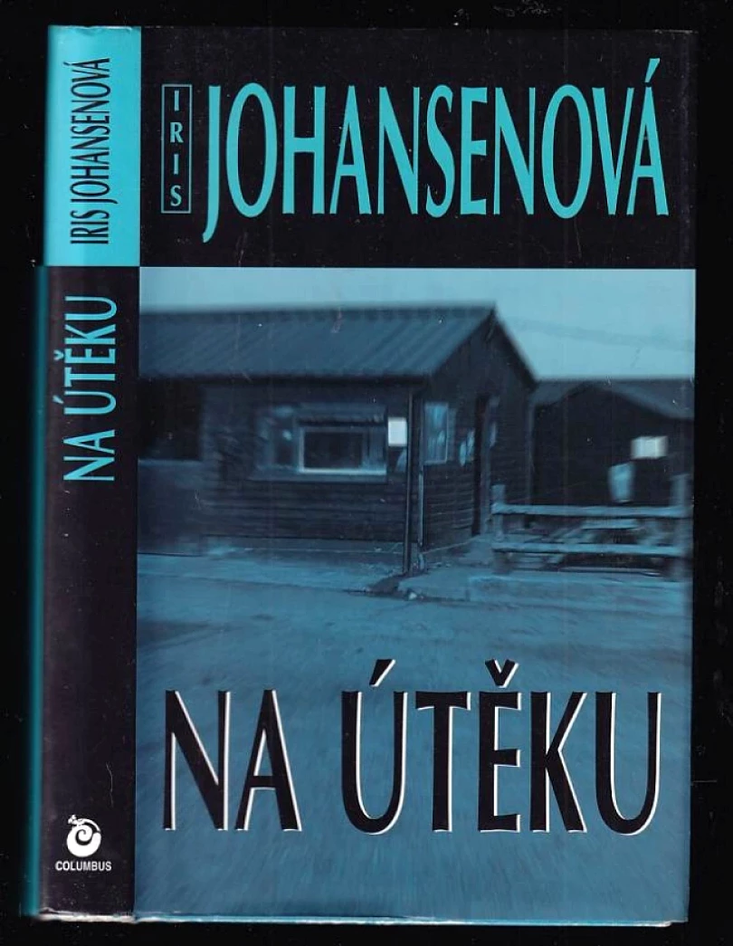Na útěku (Iris Johansen, 2008)