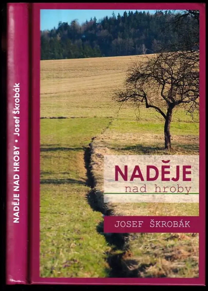 Levně Naděje nad hroby - Kázání (Škrobák Josef, 2011)