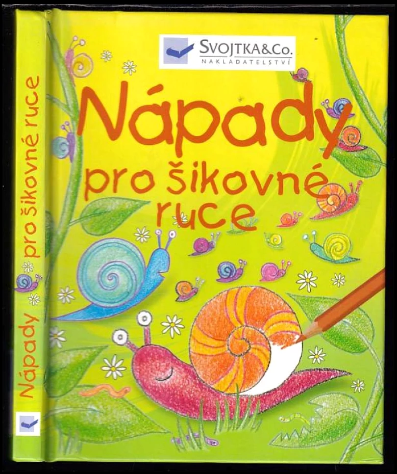 Levně Nápady pro šikovné ruce (Ray Gibson, 2006)