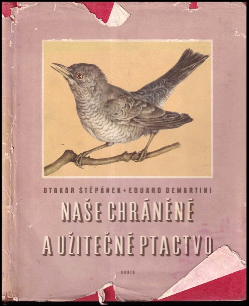 Levně Naše chráněné a užitečné ptactvo (Otakar Štěpánek, 1959)