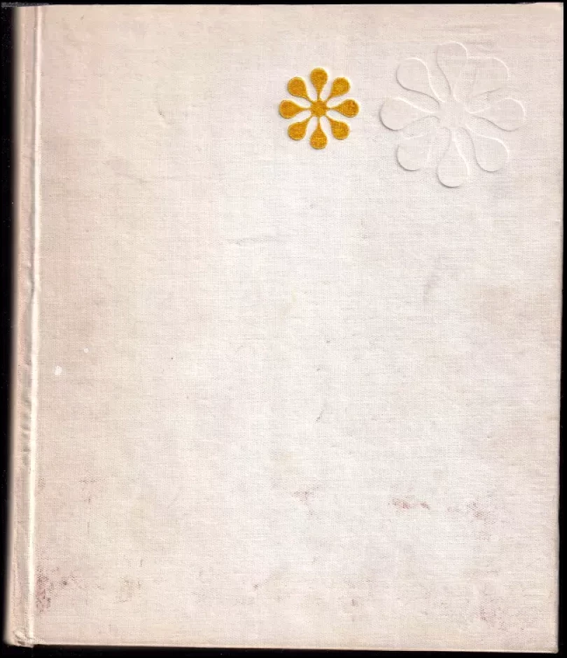 Naše dítě (Miroslava Klímová-Fügnerová, 1966)