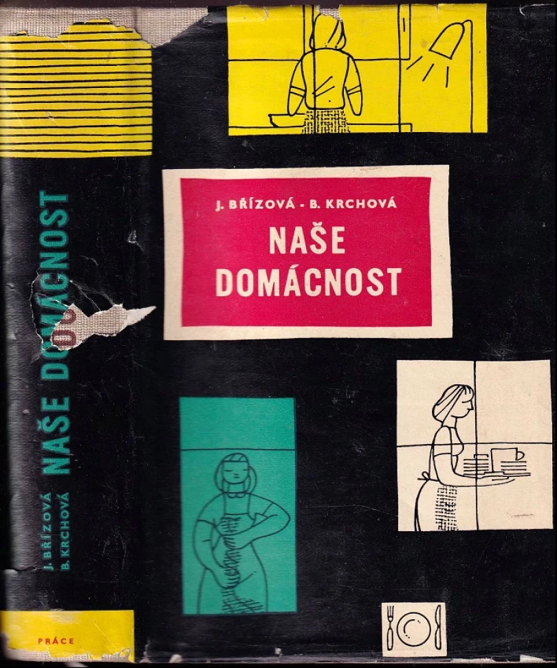Levně Naše domácnost (Joza Břízová, 1958)