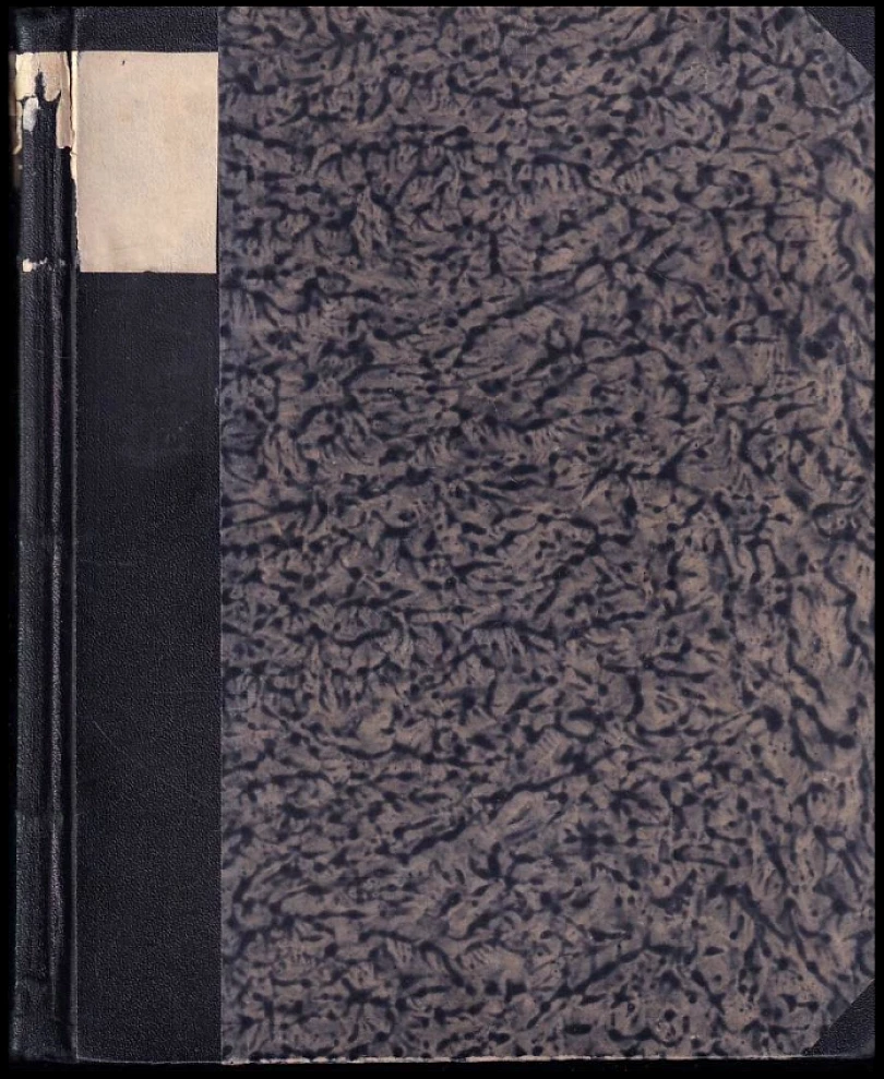 Levně Naše Praha Ročník V. 1928-29 (Bohumil Tožička, 1929)