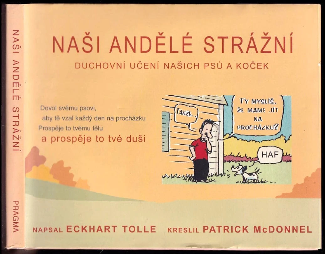 Naši andělé strážní (Eckhart Tolle, 2010)