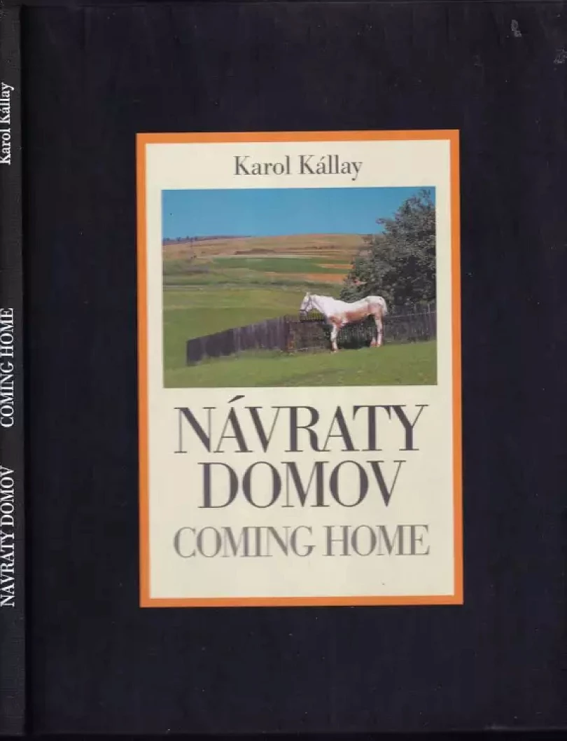 Levně Návraty domov (Karol Kállay, 2006)