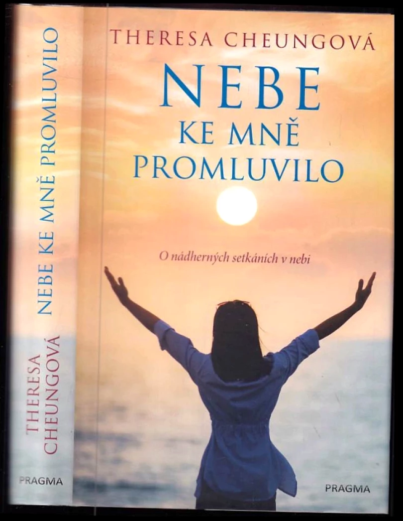 Levně Nebe ke mně promluvilo (Theresa Francis-Cheung, 2020)
