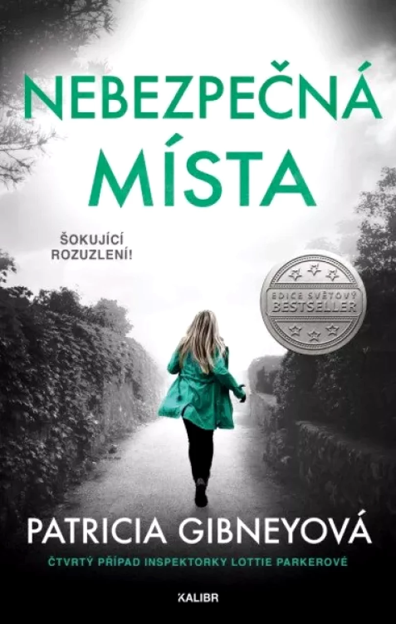 Nebezpečná místa (Patricia Gibney, 2021)