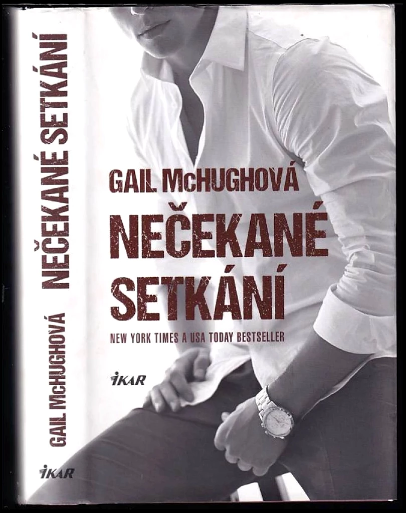 Nečekané setkání (Gail McHugh, 2015)