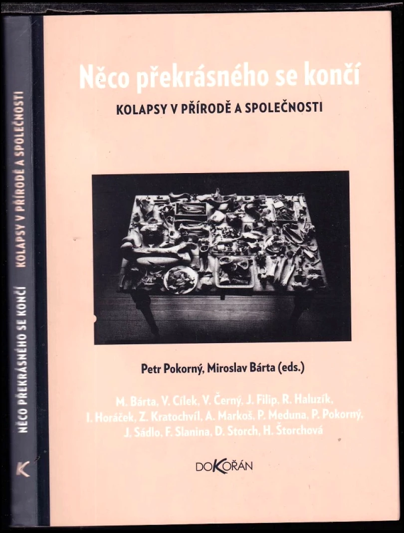 Levně Něco překrásného se končí (Miroslav Bárta, 2008)