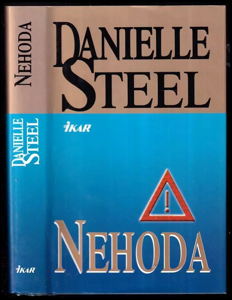 Levně Nehoda (Danielle Steel, 2000)