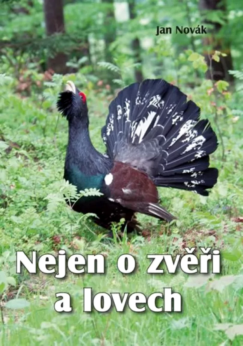Nejen o zvěři a lovech (Jan Novák, 2016)