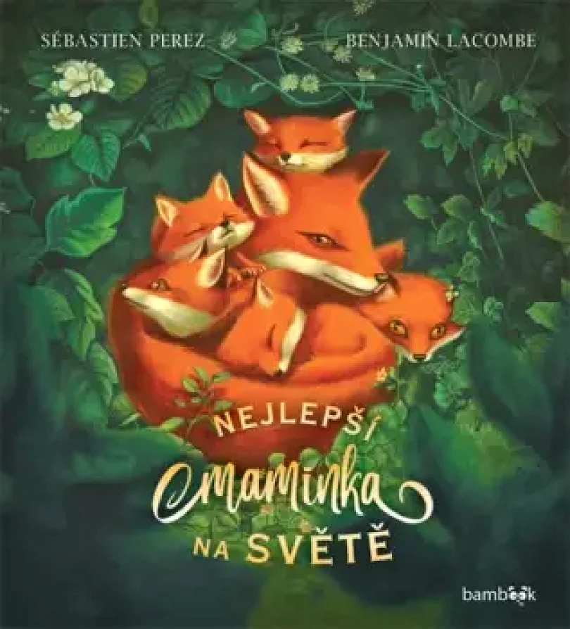 Levně Nejlepší maminka na světě (Sébastien Perez, 2023)